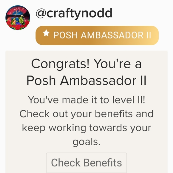 MEET YOUR POSHER - Picture 10 of 11